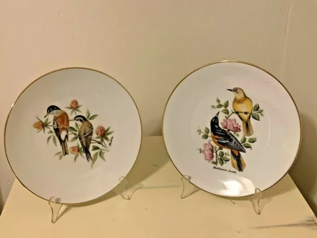 2 vintage decorative bird plates by Bareuther Waldsassen in Bavaria, Germany