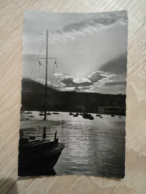 Cpsm Cpm  Carte Postale Var Sainte Maxime Le Port