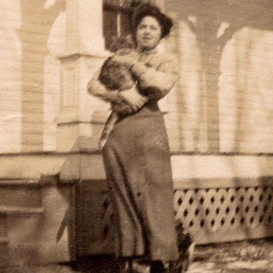 Edwardian Gibson Girl holding big Maine Coon cat c1915 snapshot "Broke Ma's toe"