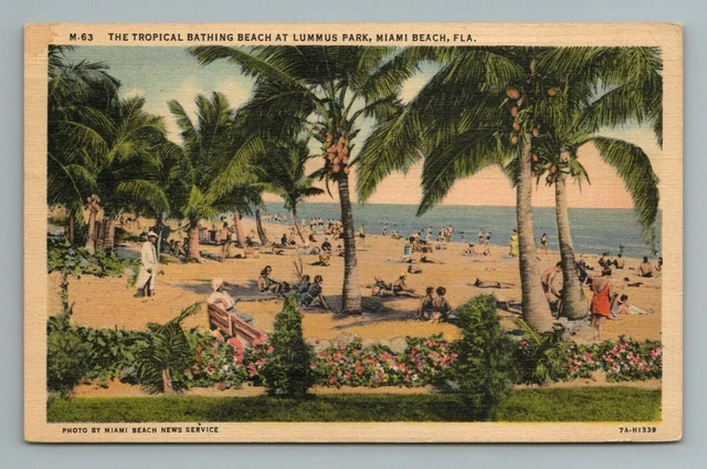Bathing Beach Lummus Park Miami Beach Florida Postcard