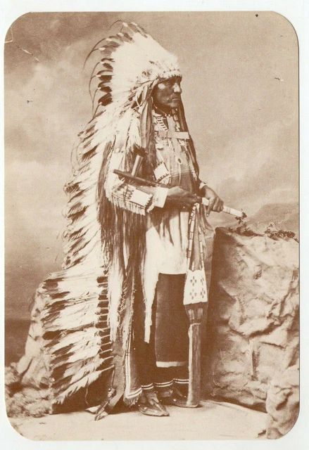 VINTAGE OLD WEST COLLECTORS SERIES Card - Indian YOUNG MAN Horses ...