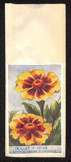 Oeillet D'Inde Carnation D India French Flower Seed Packet Unused c1900-1920