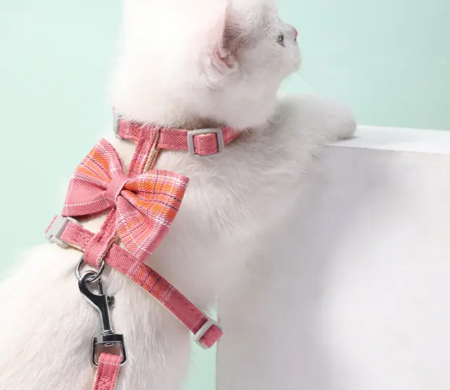 Arnés ajustable para mascotas gato cachorro cuello correa plomo poliéster cuerda de seguridad para caminar