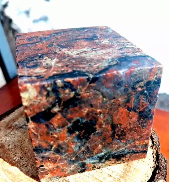 Petrified Wood Limb Cast Dusplay Cube Cut On 6 Sides End Cuts May Be Available