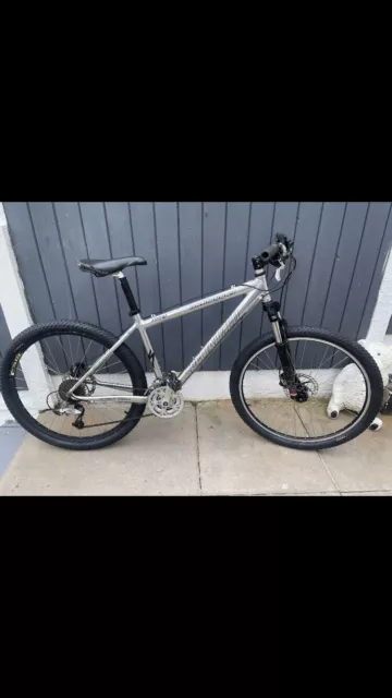 Mens rock Hopper Mountain Bike