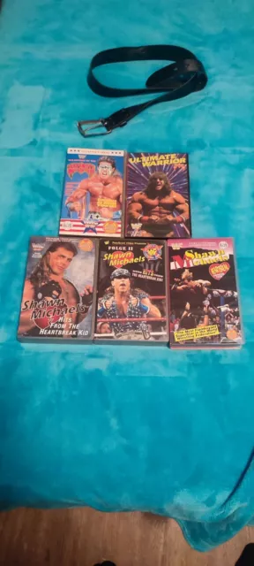 WWF WWE Wrestling Shawn Michaels & Ultimate Warrior Sammlung