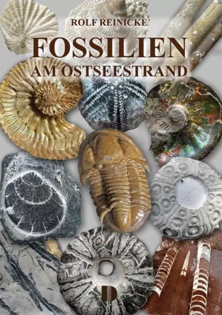 Fossilien am Ostseestrand Rolf Reinicke Taschenbuch 80 S. Deutsch 2020