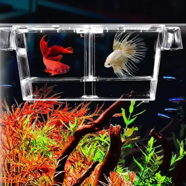 Fish Tank Accessories Fish Tank Breeding Isolation Box Hatchery Box  Fish Tank