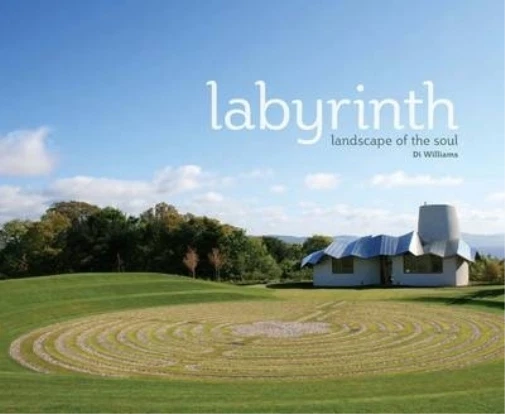 Di Williams Labyrinth (Paperback) (UK IMPORT)