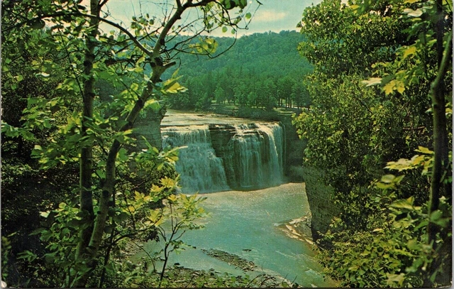 Letchworth State Park Castile New York Genesee River Gorge Grand Canyon Postcard