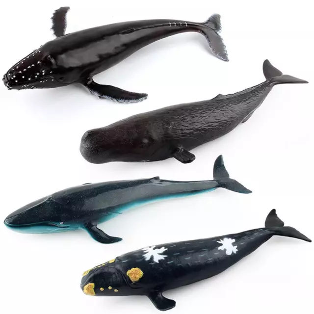 Figurine réaliste de baleine de mer, océan, modèle Animal, jouet éducatif,