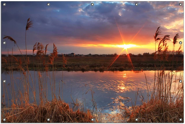 Wallario Garten Bakon Poster Zaun Sichtschutz wetterfest - Sonnenuntergang