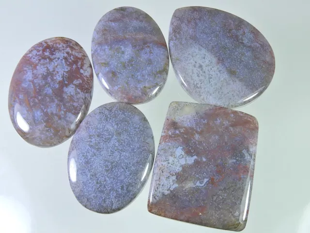 331Cts. Natural Moss Agate Oval Cabochon Loose Gemstone 05 Pcs Lot 37-46 MM N441