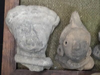 Mexican Pre Columbian Tlatilco Terracotta Nice bust Group lot 6 5