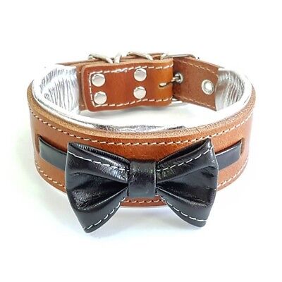 Bestia genuine leather dog collar. S to XL size. hand crafted. Soft padded.