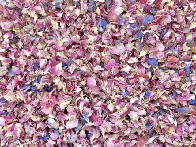 50 Guests Biodegradable Wedding Confetti Pink Ivory Rose Mix Petals Dried Flower