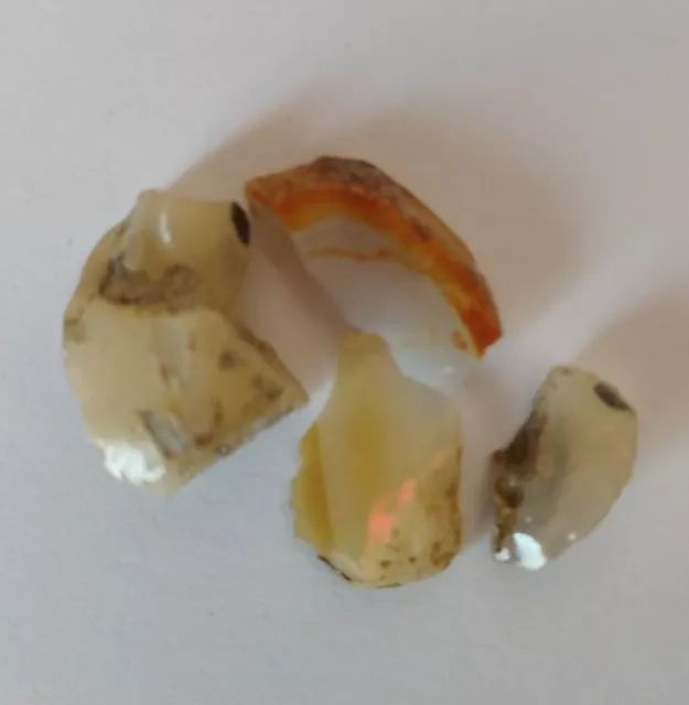 Opales brutes naturelles d'Ethiopie - 15,10 carats . Lot de 4