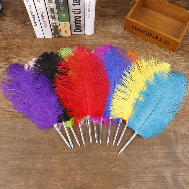 Pluma de avestruz libro de invitados pluma bolígrafo boda fiesta maravilloso regalo firma P H7