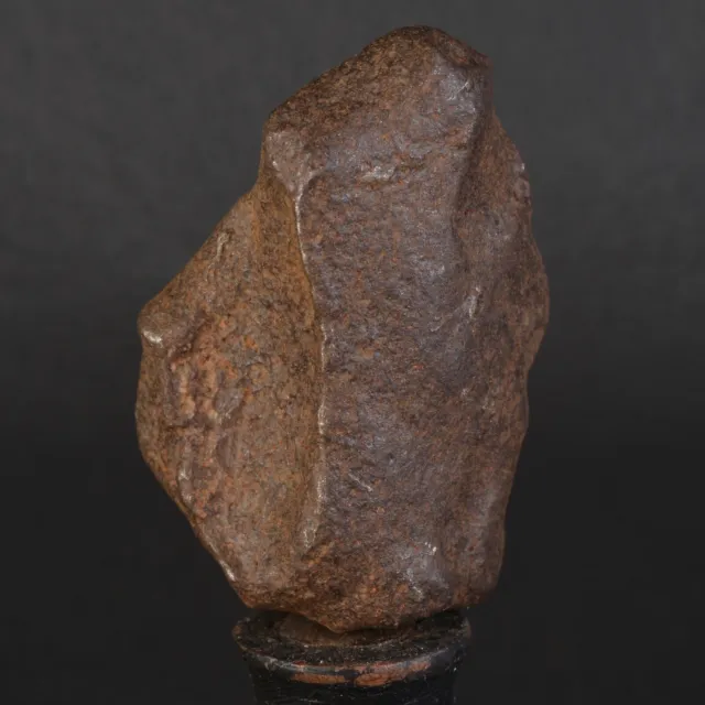 Meteorite Gebel Kamil 66,26 G Siderite Non Grouped Egypt Iron Ung. #D18.1-22