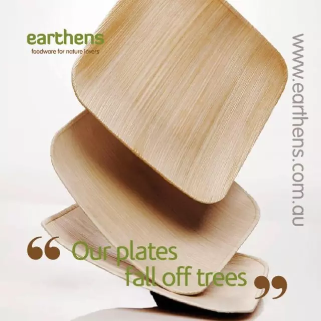 25 x Square Palm Leaf Plates Biodegradable AKA Bamboo Plates