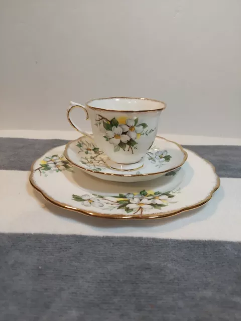 Vintage Royal Albert White Dogwood Teacup Saucer And Dessert Plate Trio