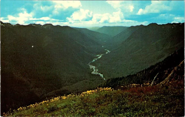 Hoh Valley from the Bailey Range, OLYMPIC NATIONAL PARK, Washington Postcard