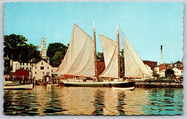 Postcard Schooner Mercantile Capt. Jim Nisbet, Camden Maine P102