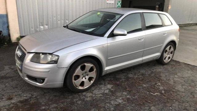 Lève-vitre électrique Avant Gauche (sans Moteur) Pour Audi A3 8P1 (2003-2012)