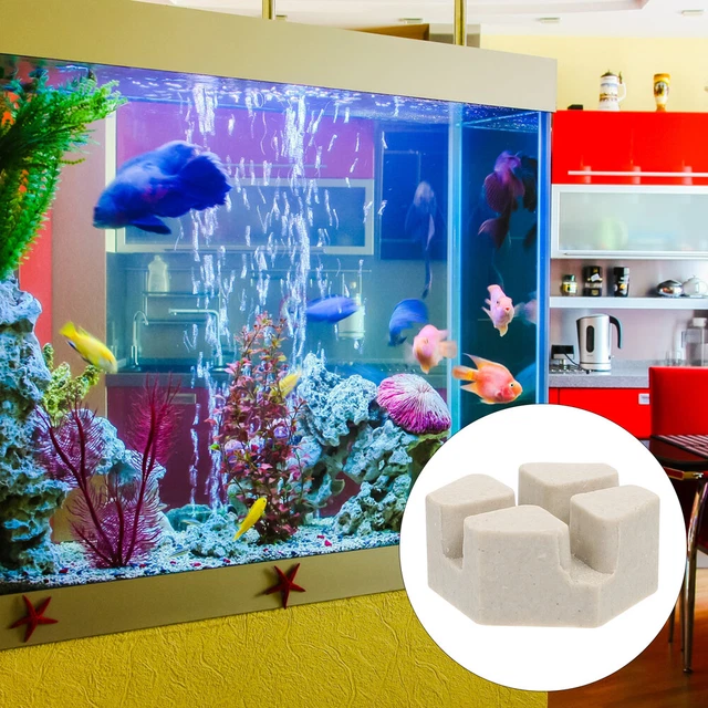 10 piezas Base Acuario Decoración Frag Azulejos Coral Frag Soporte Azulejos