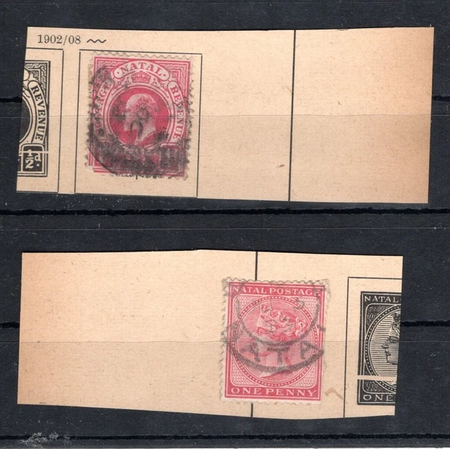 Stamp Collection- Natal- on vintage album page remnants (C495)