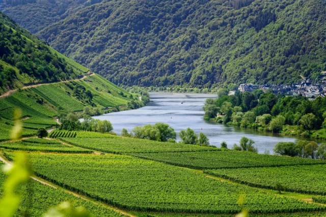 Für Weinfreu(n)de Mosel,Rhein,Ahr ..4 Tage für 2 (DZ) z.b. 4* Hotel Wert € 349,-