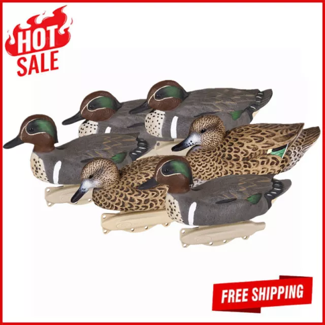 6 Pack Outdoor Storm Front Green Winged Teal Decoys 10.5'' Waterfowl Floaters