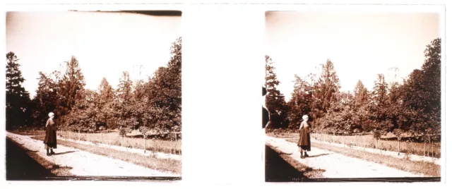 Landscape Women Fashion c1930 Photo Stereo Glass Plate Vintage V33L17n 2