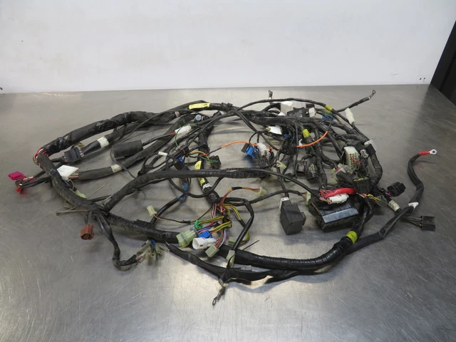 Eb1034 2010 10 Yamaha Royal Star Venture Wire Harness Assembly
