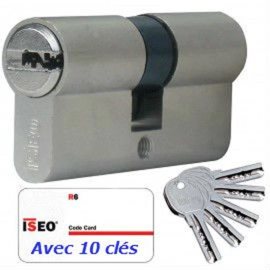 Cylindre Serrure Haute Securite Iseo/R6 Avec 10 Cles Dimension Au Choix