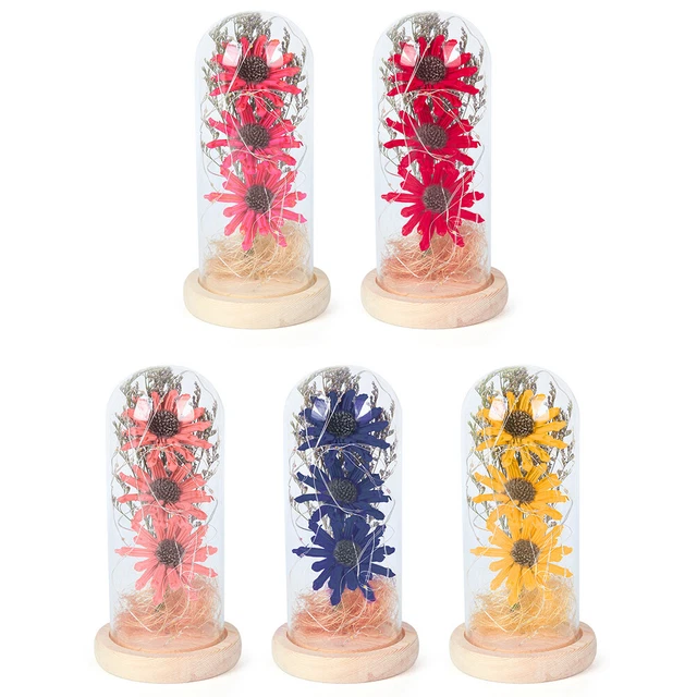 Girasole essiccato in vetro festa della mamma regalo cupola comodino calda lampada notte arredamento casa