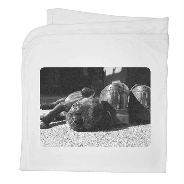 'Chiot terrier boston' couverture / châle en coton pour bébé (BY00012955)