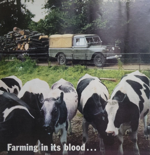 Land Rover "Farming In Its Blood" Cows Logs UK Original 1960 ILN Ad 9.5x14"