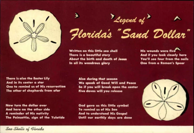 US-Postcard USA Postkarte FLORIDA Legend of "The Sand Dollar" Sea-Shell color AK