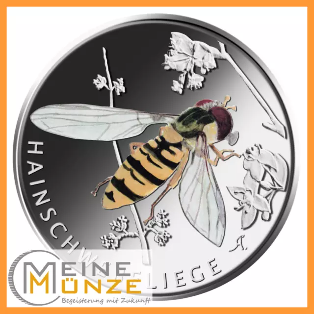 5 Euro Münze 2024 HAINSCHWEBFLIEGE Spiegelglanz / PP Wunderwelt Insekten BRD