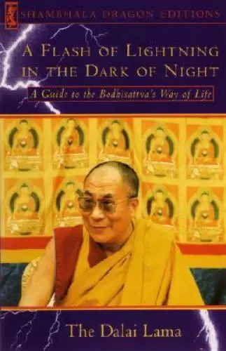 A Flash of Lightning in the Dark of Night: A Guide to the Bodhisattva's W - GOOD