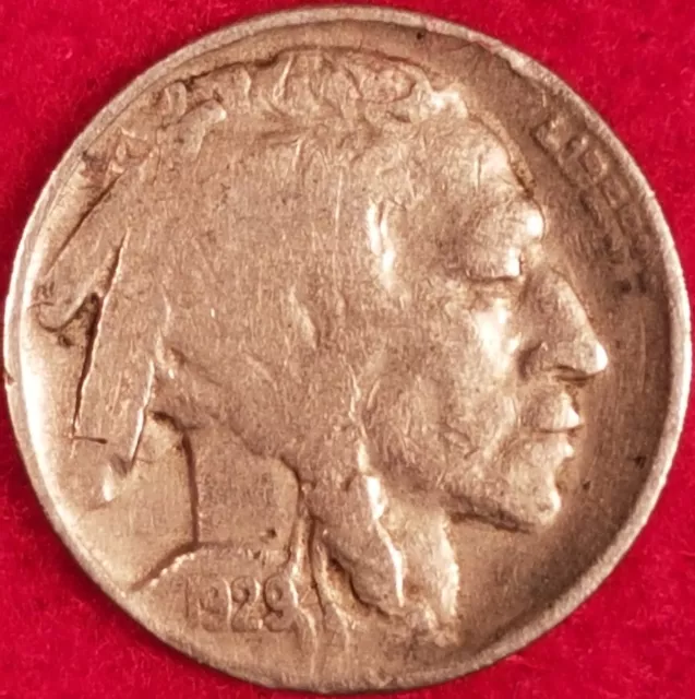 1929 Buffalo Nickel  ID #19-225