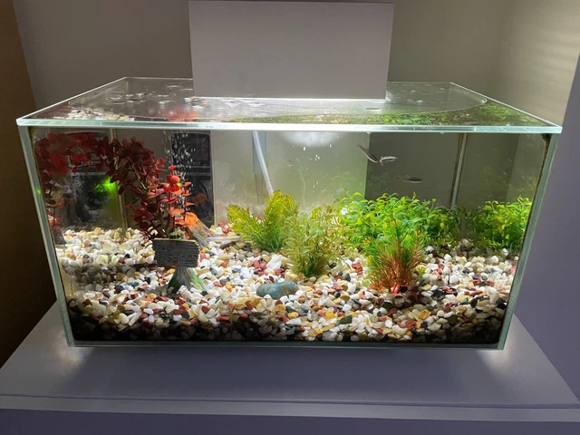Fluval Edge 23L White Fish Tank Aquarium + Accessories