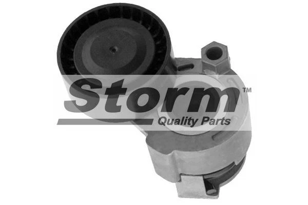 Galet Tendeur (Courroie D'accessoire) Renault Clio Iii 1.5 Dci,Clio Ii 1.5 Dci