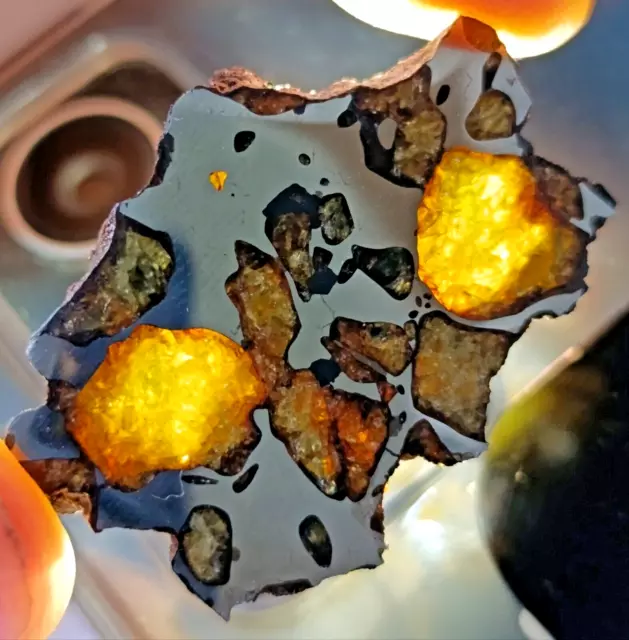 SUPERB 6.59g IMILAC PALLASITE METEORITE FULL SLICE w/ GLOWING OLIVINE CRYSTALS!