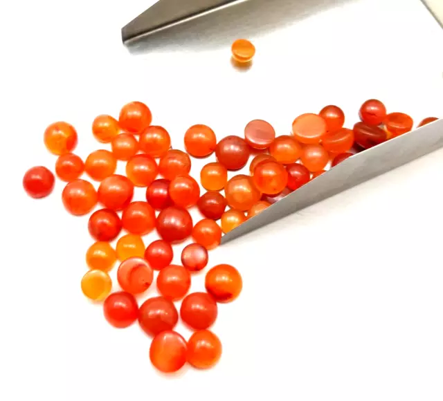 Natural Carnelian Round Cabochon Loose Gemstone Wholesale Lot 40 Pcs 8 MM 80 CT