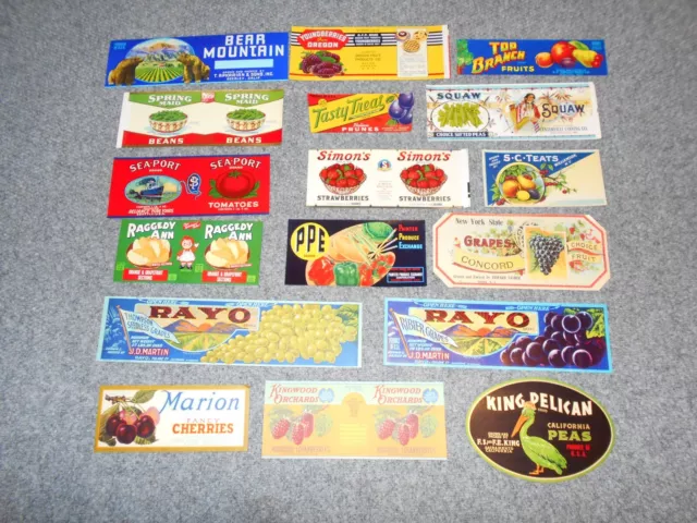 53 Vtg 1930'S 1940'S Mint! Unused Fruit & Vegetable Can Labels Lot            B5