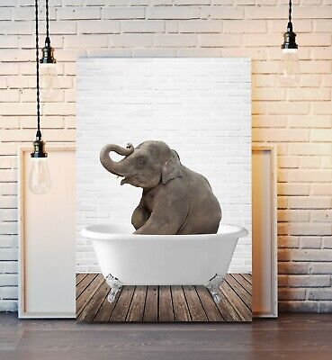 Elephant Animal in Bath CANVAS WALL ART PRINT ARTWORK PICTURE FRAMED POSTER