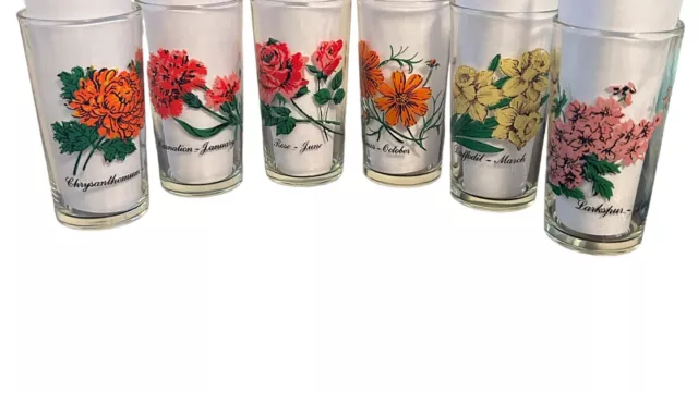 Vintage BROCKWAY Flower of the Month Drinking Beverage Glasses Tall Tumbler-6