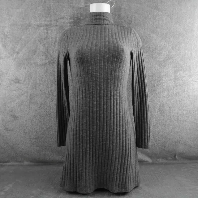 Abound Womens Sweater Dress XS Gray Ribbed Knit Mini Turtleneck Minimal Basic